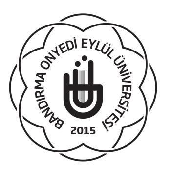 Official Statement Regarding the Silivri Ship Accident